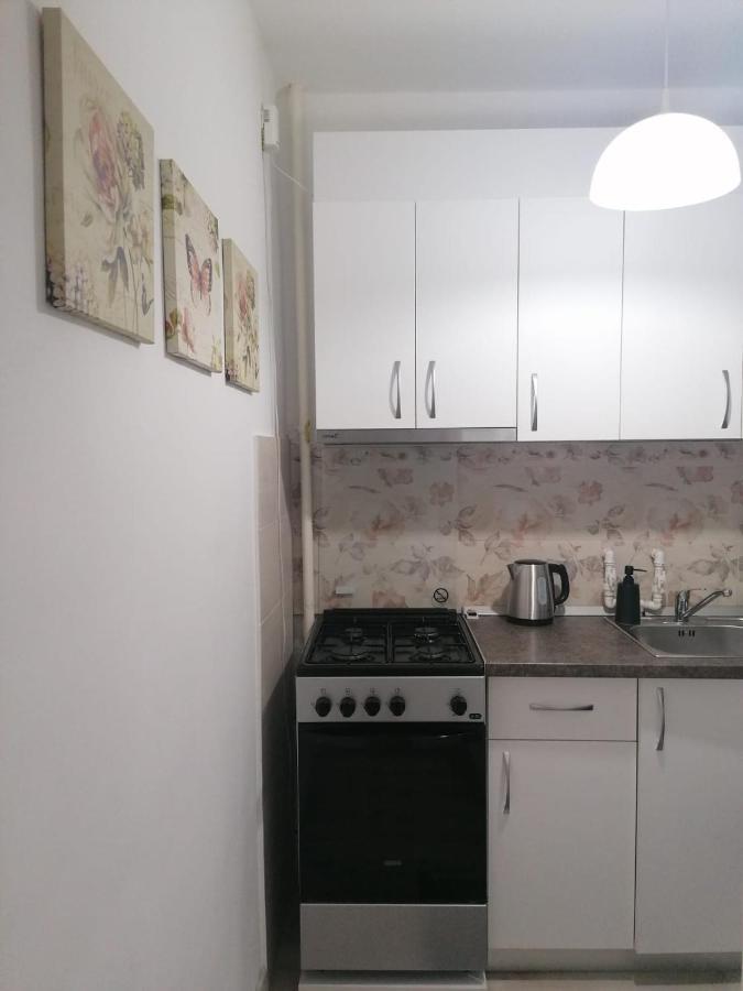 Laroka House Cosy And Modern Apartment Universitate-City Centre Бухарест Екстер'єр фото